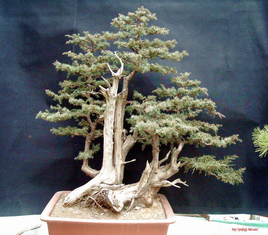 DSCN0906.JPG