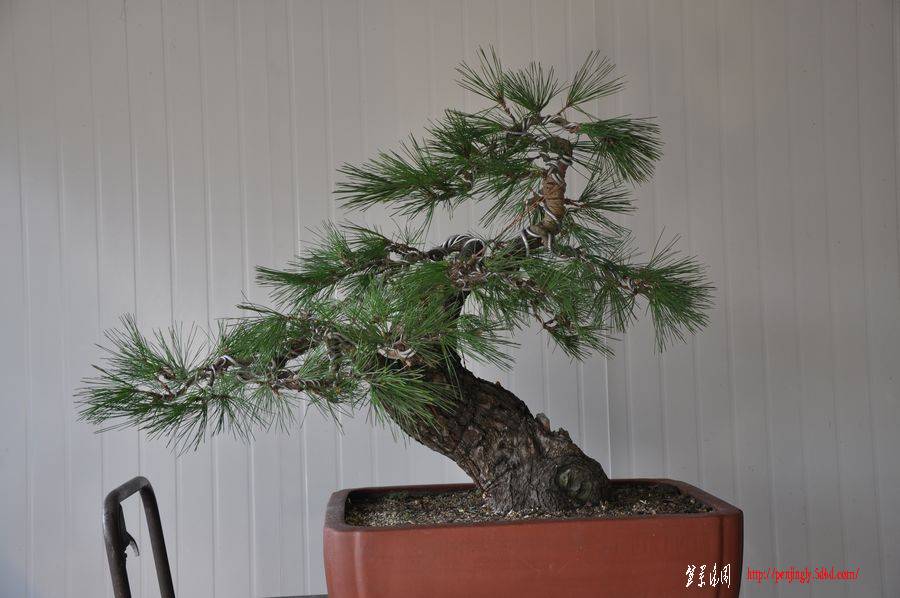 Ƭ 077.jpg
