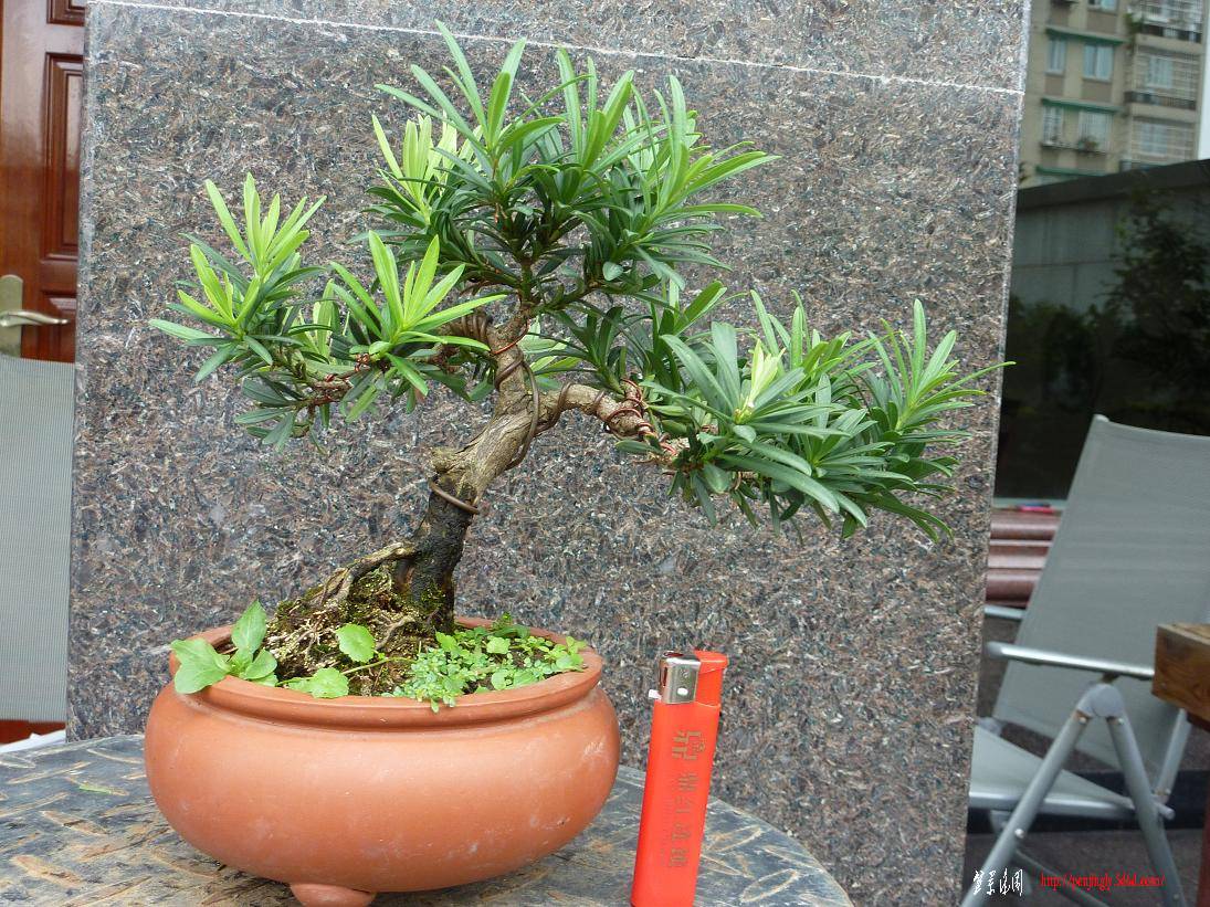 P1000641.JPG