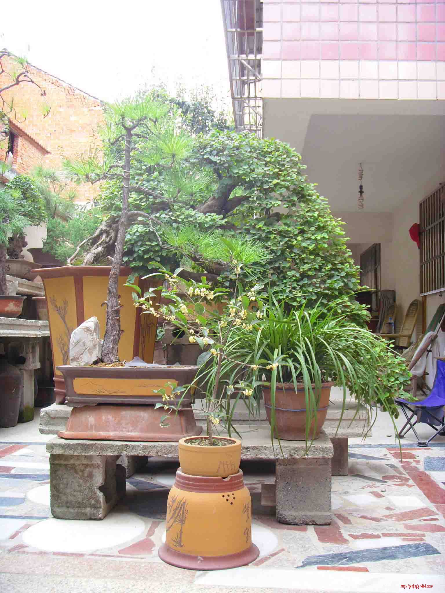 SDC12356.jpg