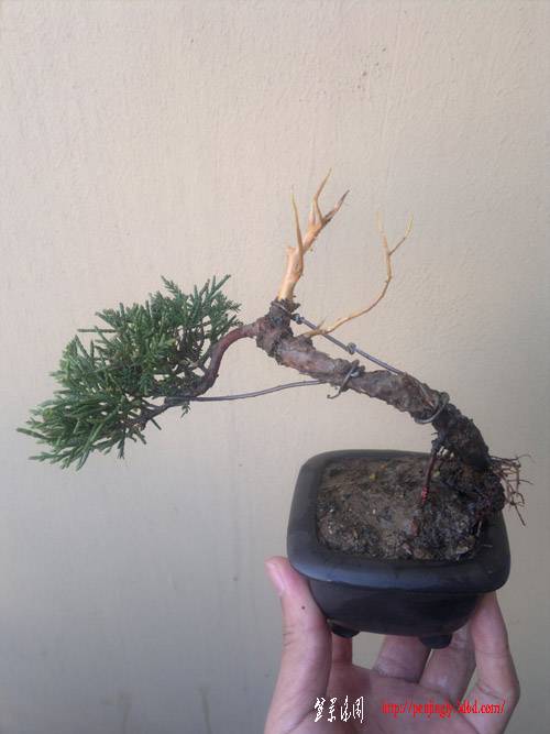 20110921285.jpg