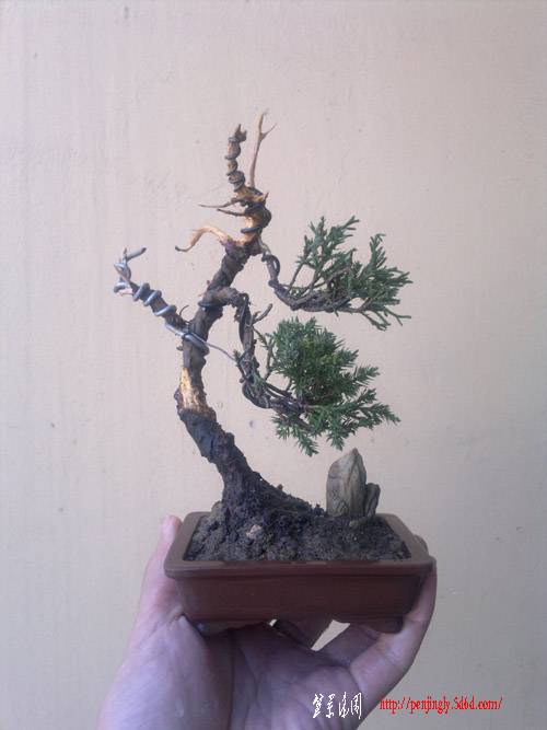 20110921280.jpg