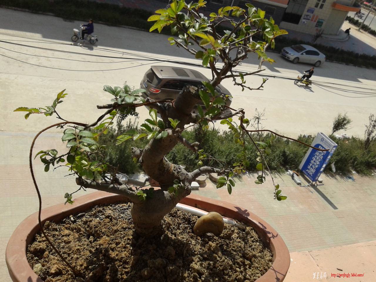 2011-09-22 12.01.43.jpg