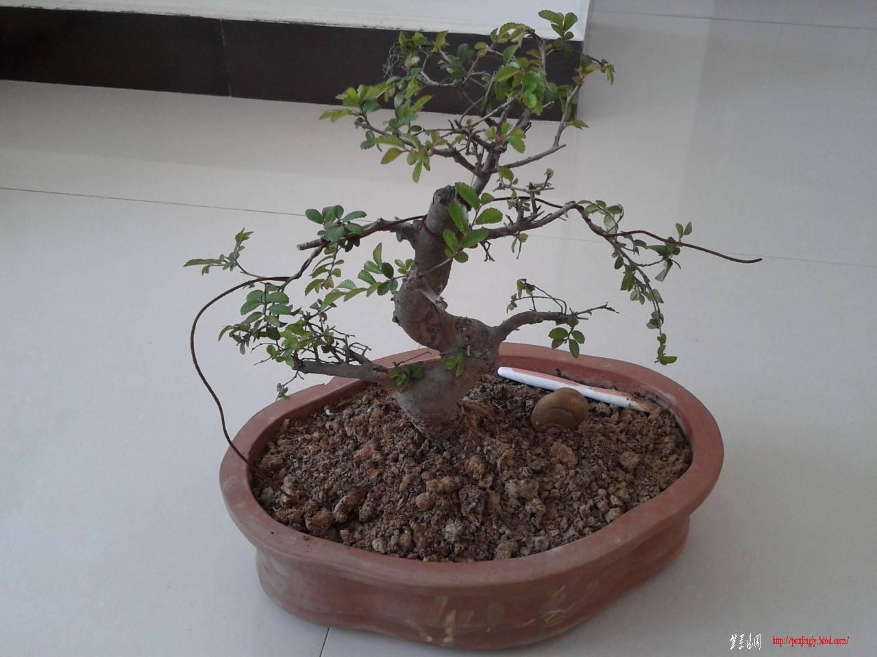 2011-09-22 12.21.03.jpg