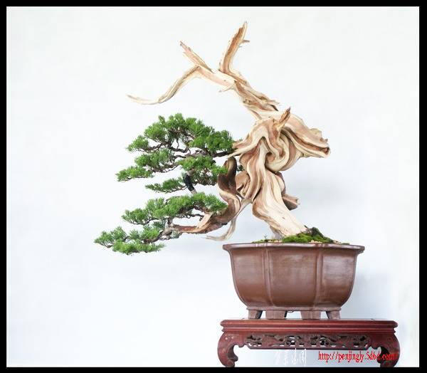 b64854359-ac-0159xf4x0600x0524-m_conew1.jpg