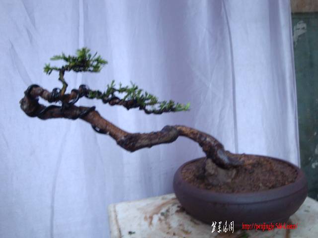 DSC05045.JPG