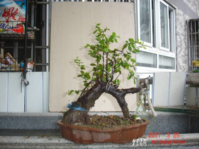 DSC01720.JPG
