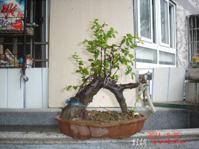 DSC01719.JPG