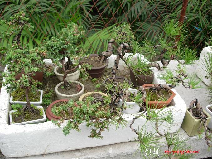 DSCN6093.JPG