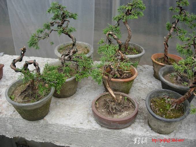 DSCN6097.JPG