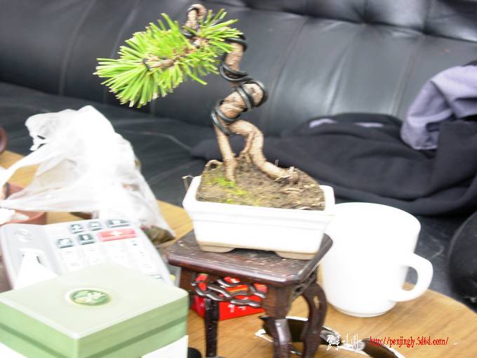 DSCN6092.JPG