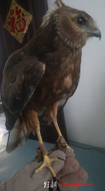 20110925298.jpg