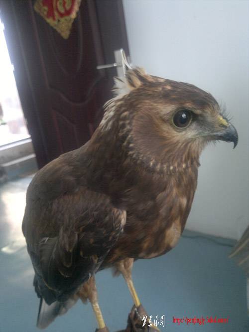 20110925297.jpg
