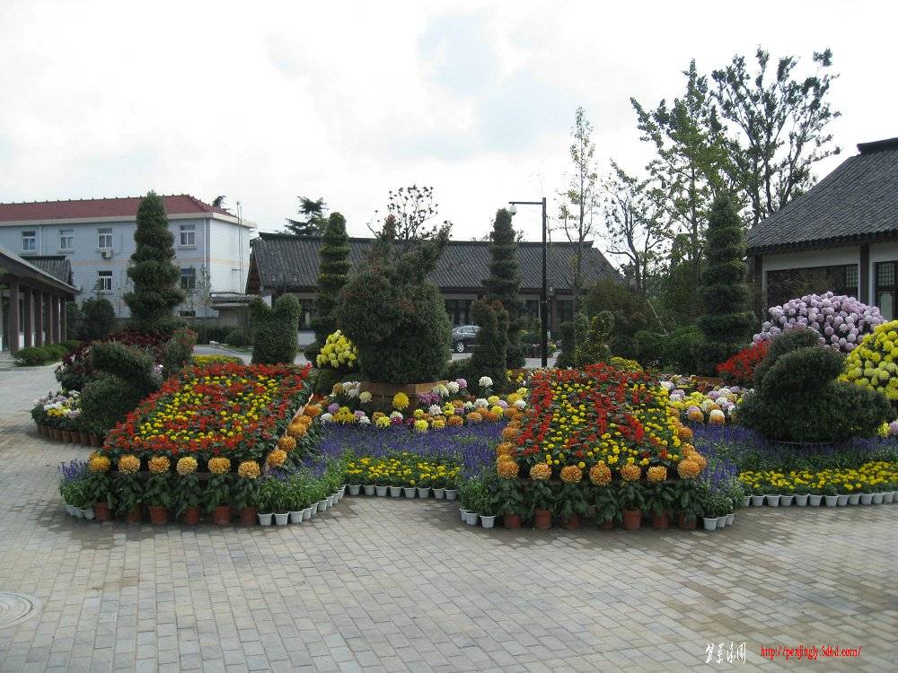 Ƭ 061.jpg