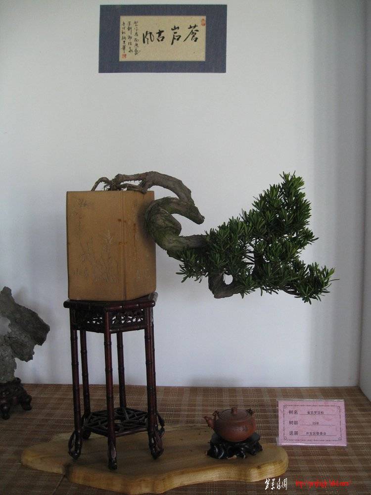 Ƭ 077.jpg