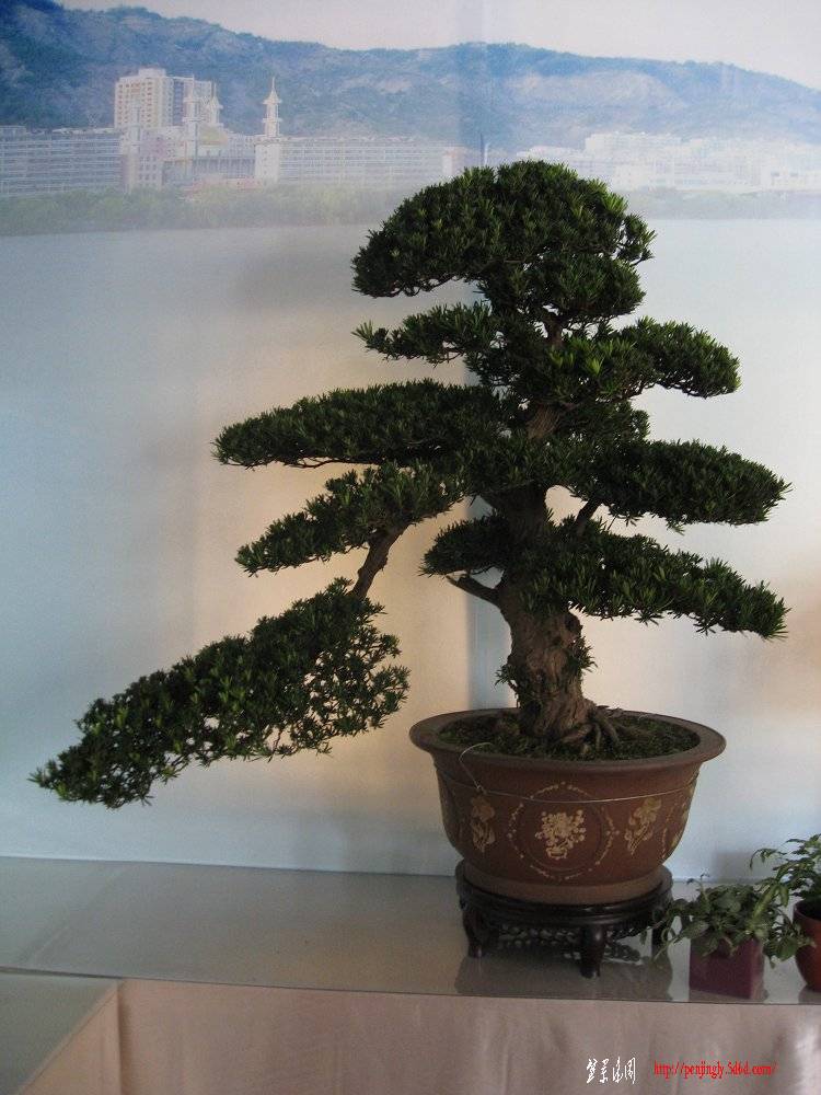 Ƭ 046.jpg