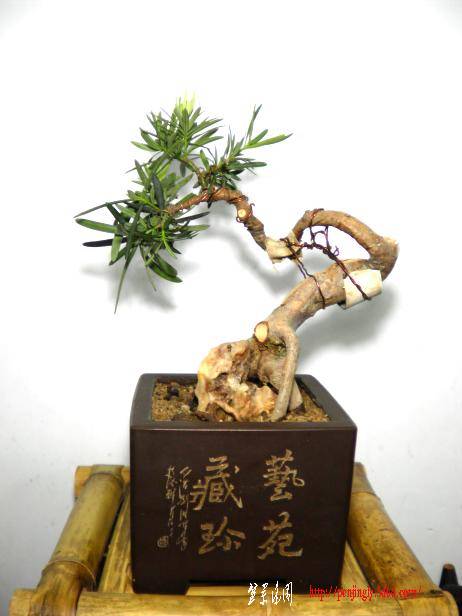 SANY9----5.JPG