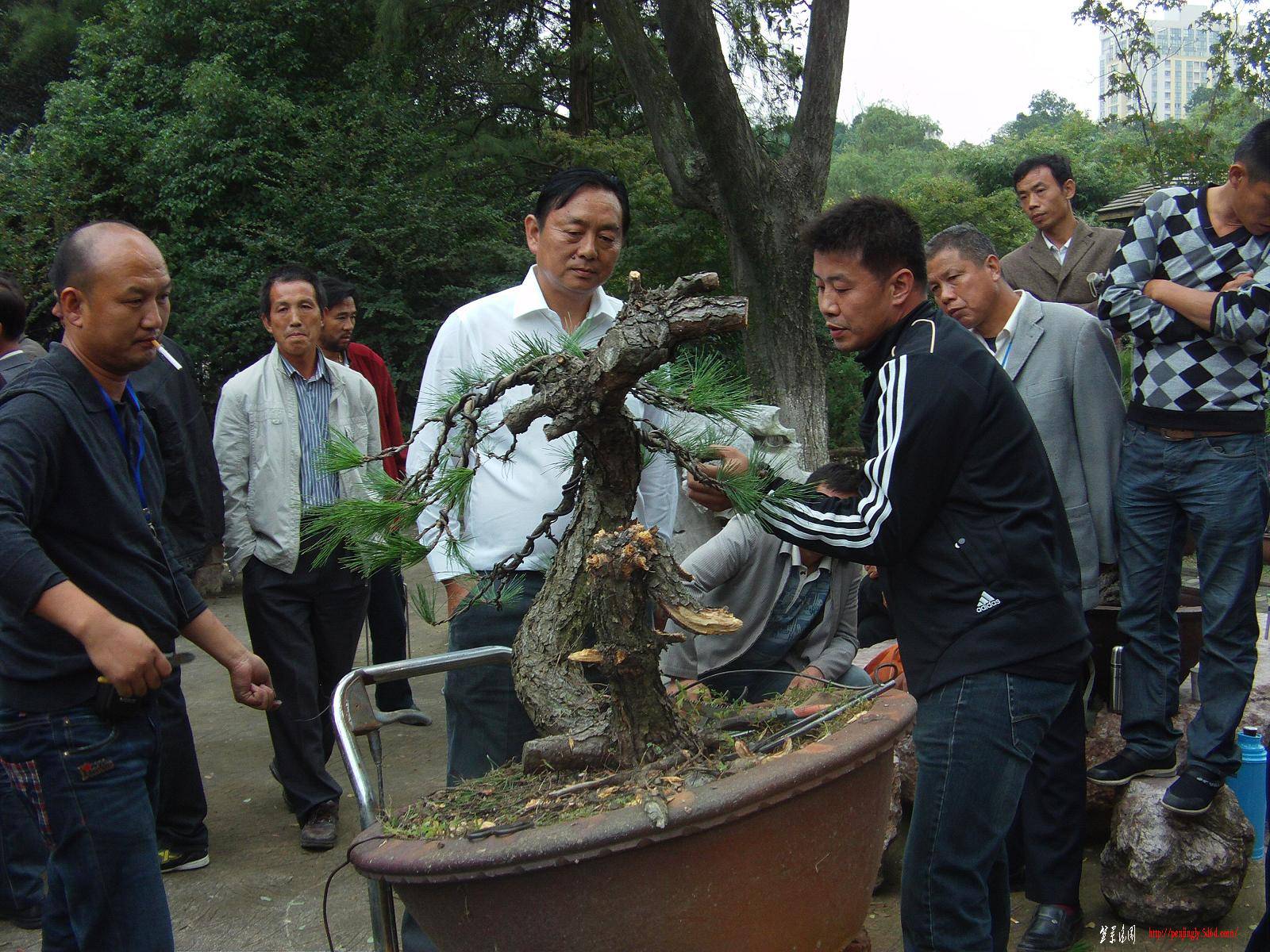 FILE1019.JPG