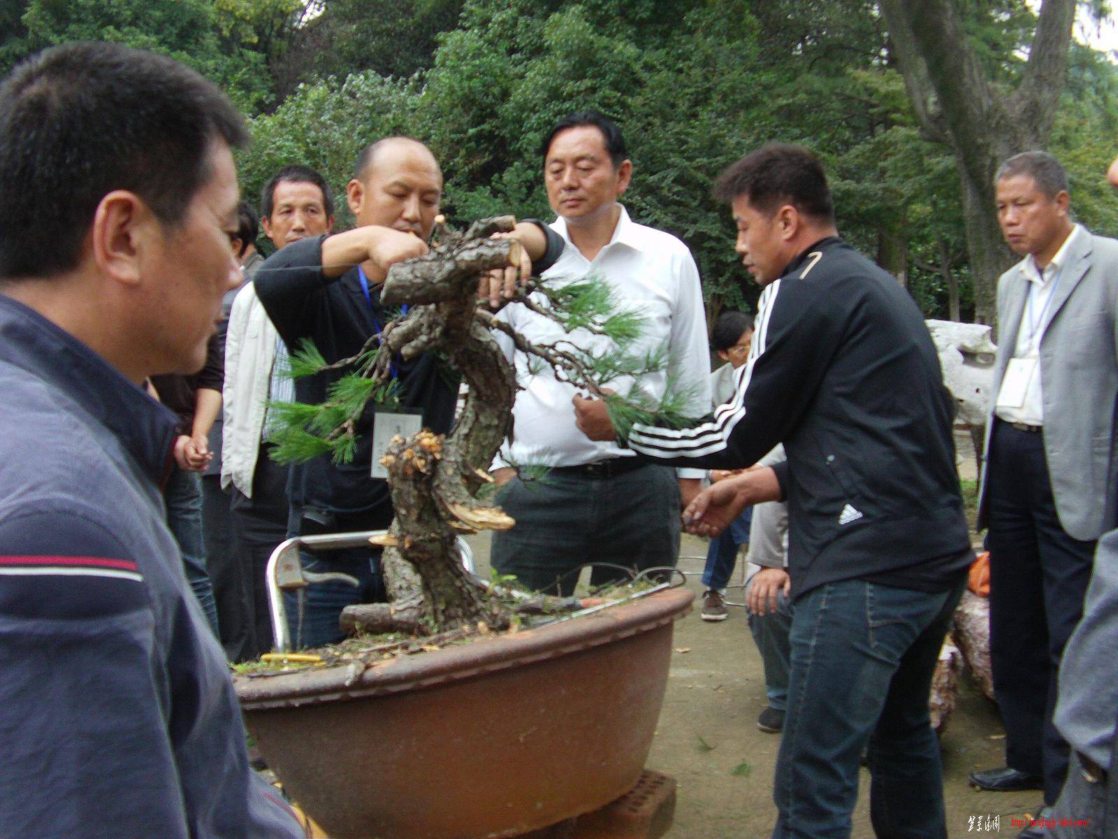 FILE1020.JPG