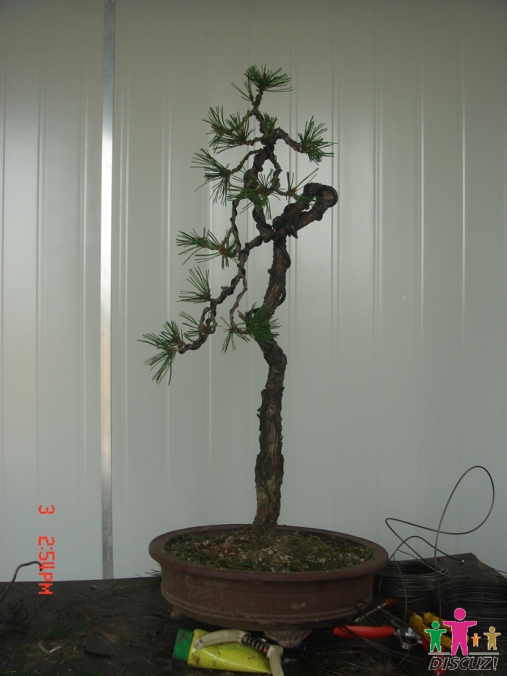 DSC00006.jpg