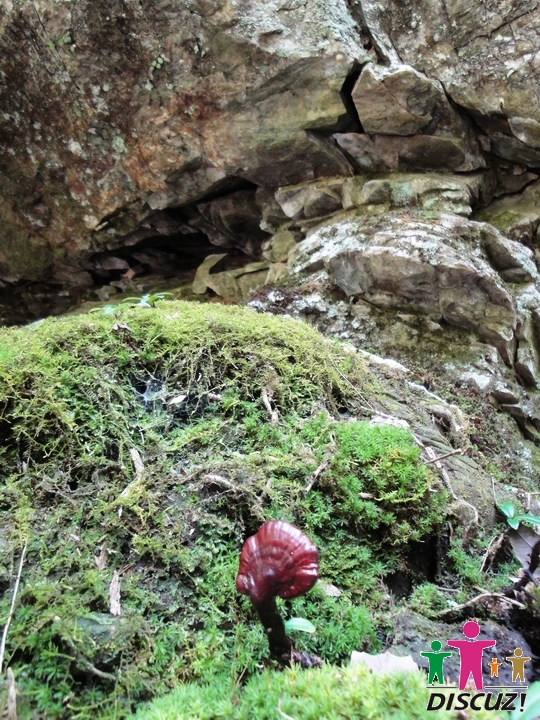 DSC07250.JPG