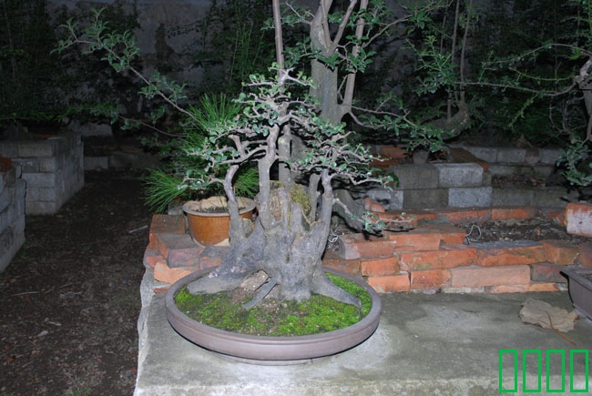 DSC_8568.JPG