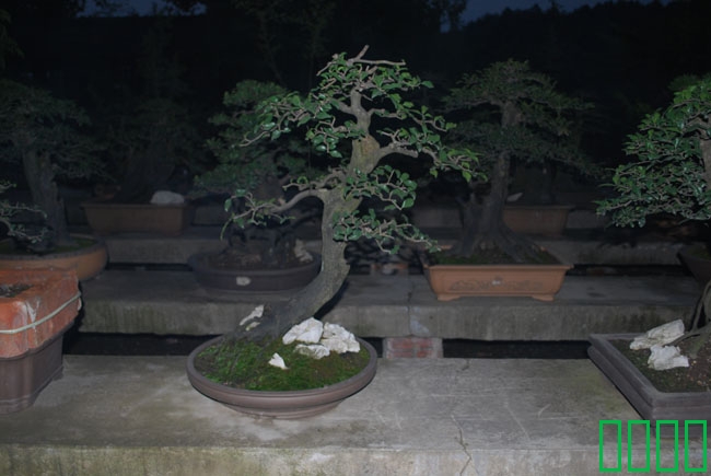 DSC_8564.JPG
