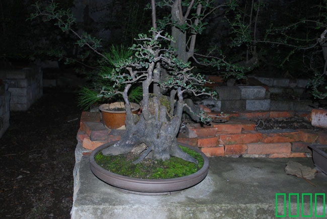 DSC_8567.JPG
