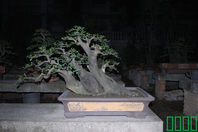 DSC_8588.JPG