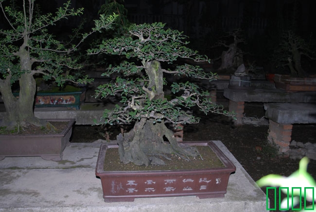 DSC_8599.JPG
