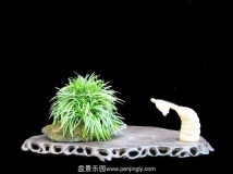 ҶҲ
